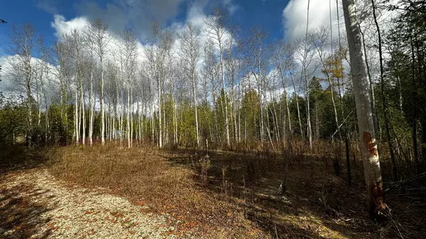 South Bruce Peninsula, ON N0H 2T0,LT69-70 Isabella ST