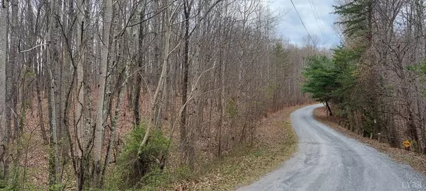 Hurt, VA 24563,0 Camellia LN