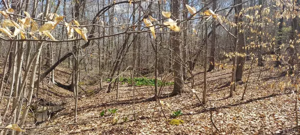 Brookneal, VA 24528,0 Hunter RD