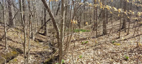 Brookneal, VA 24528,0 Hunter RD