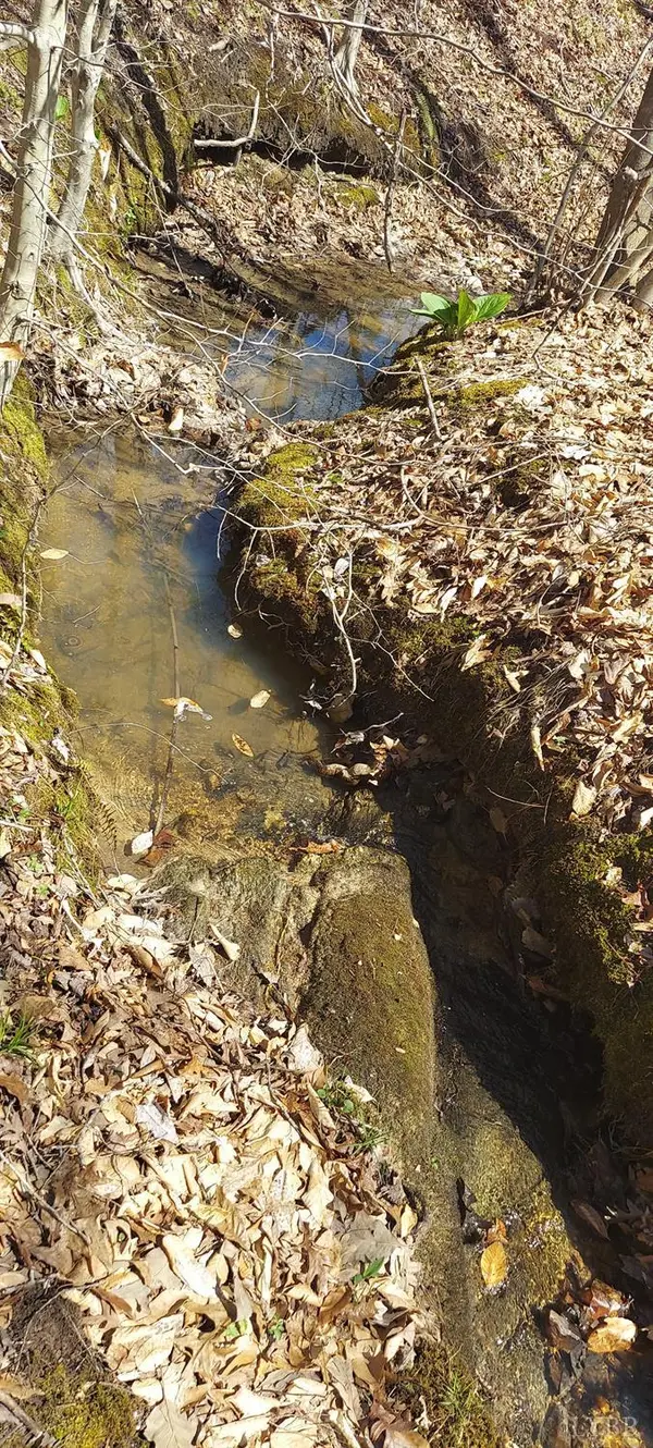 Brookneal, VA 24528,0 Hunter RD