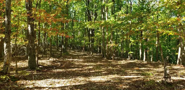 Madison Heights, VA 24572,0 Trey CT