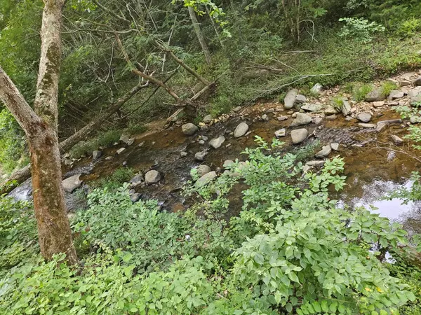 Madison Heights, VA 24572,0 Trey CT