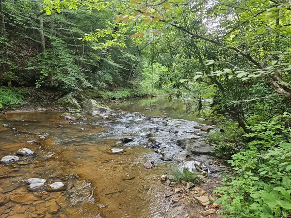 Madison Heights, VA 24572,0 Trey CT