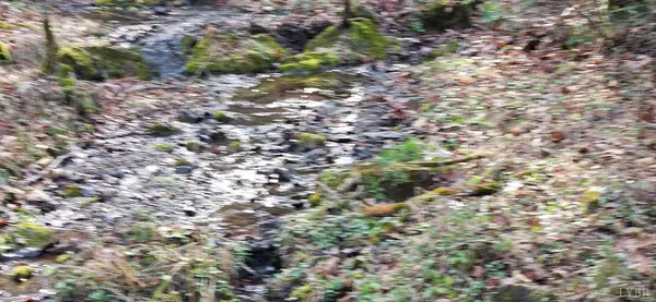 Wytheville, VA 24382,0 Major Graham RD