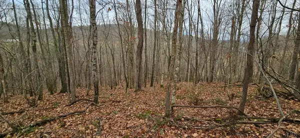 Wytheville, VA 24382,0 Major Graham RD