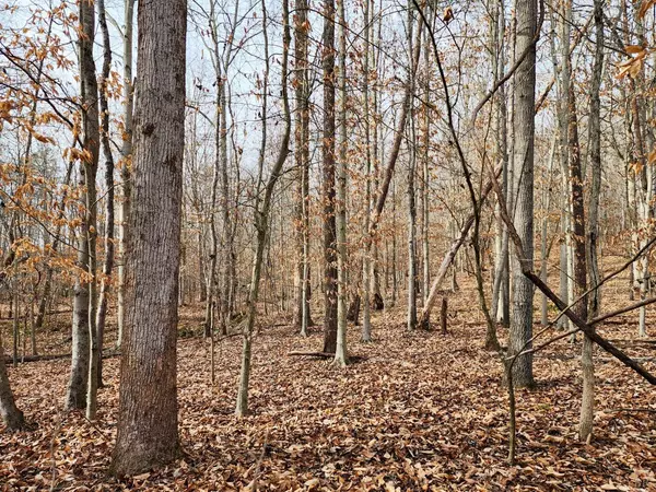 Madison Heights, VA 24572,0 Pinecrest DR