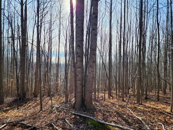 Madison Heights, VA 24572,0 Pinecrest DR