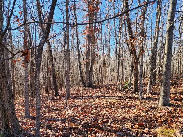 Madison Heights, VA 24572,0 Pinecrest DR