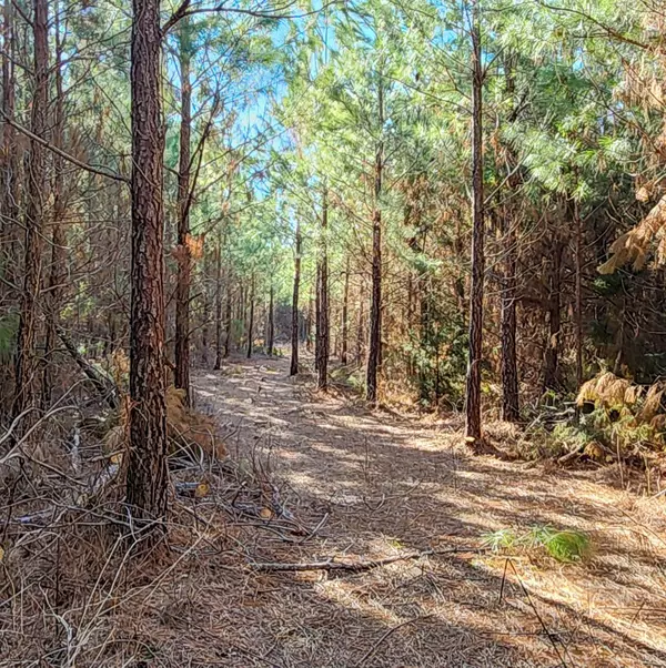 Nathalie, VA 24577,0 Cameron LN