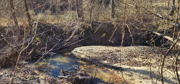 Nathalie, VA 24577,0 Cameron LN