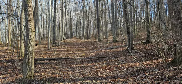 Wytheville, VA 24382,0 Major Grahams