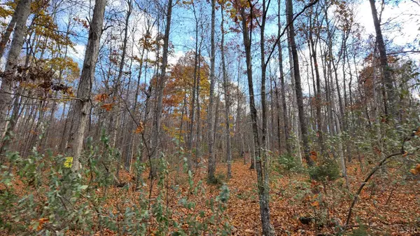 Wytheville, VA 24382,0 Major Grahams