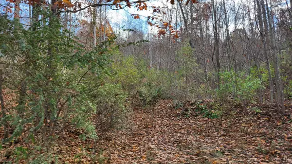 Wytheville, VA 24382,0 Major Grahams RD