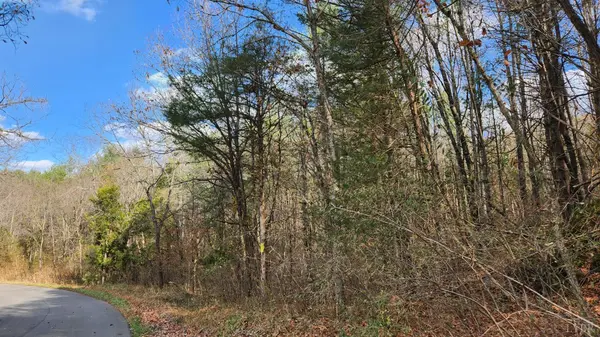 Wytheville, VA 24382,0 Major Grahams