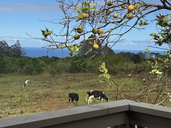 Pepeekeo, HI 96783,28-646 KAUPAKUEA HOMESTEAD RD