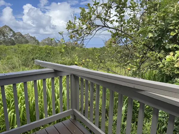 28-646 KAUPAKUEA HOMESTEAD RD, Pepeekeo, HI 96783