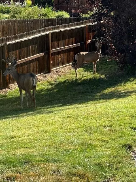 Colorado Springs, CO 80923,6515 Medicine Springs DR