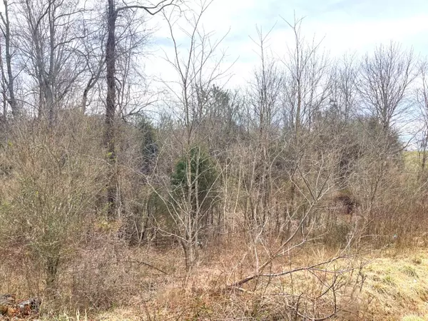 Bedford, VA 24523,0 0 Moneta RD