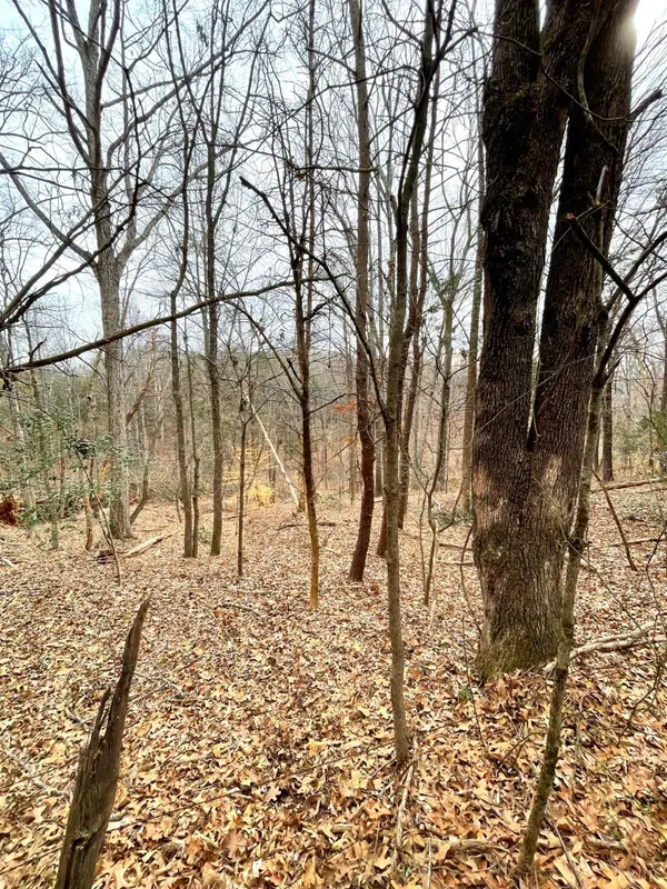 Bedford, VA 24523,0 0 Moneta RD