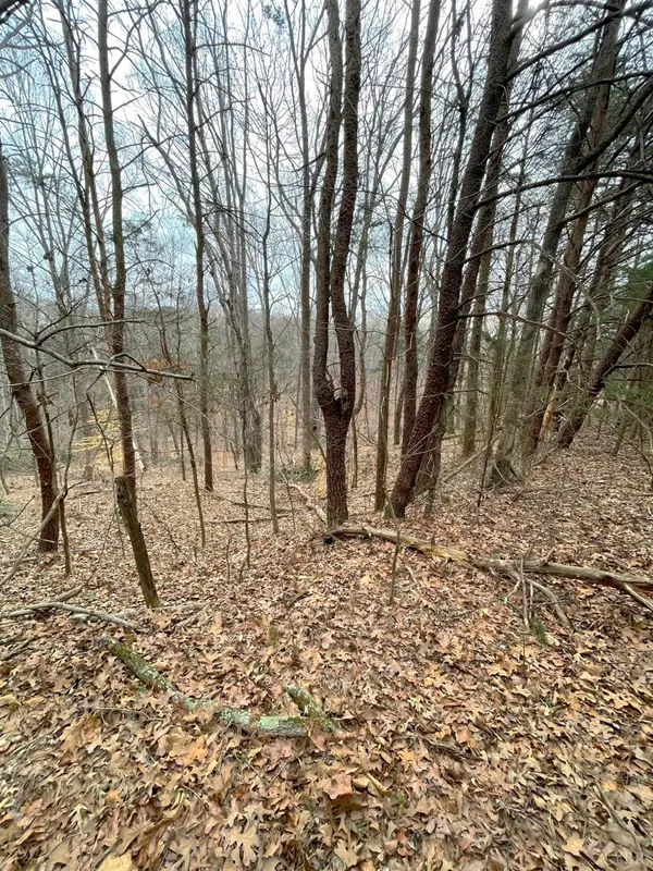 Bedford, VA 24523,0 0 Moneta RD