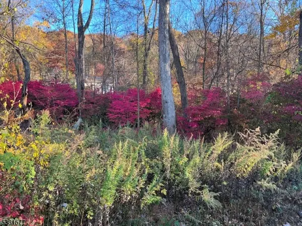 Jefferson Twp., NJ 07438,9 Old Woodland Trl