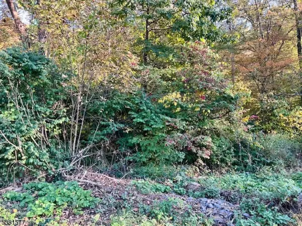 Jefferson Twp., NJ 07438,9 Old Woodland Trl