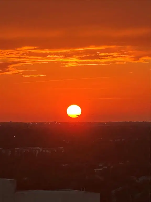 Fort Lauderdale, FL 33301,347 N New River Dr E #2106