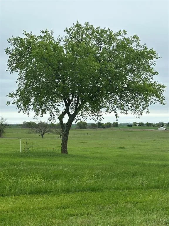 Muenster, TX 76252,TBD -3 Fm 1198