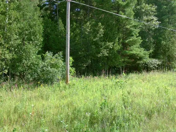 Tawas City, MI 48763,0 M-55