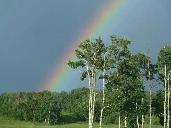 420069 Range Road 284 #7, Rural Ponoka County, AB T4J 1R3