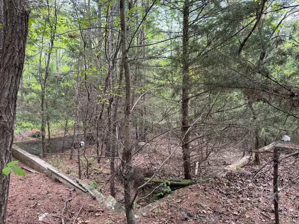 Evington, VA 24550,0 Dearborn RD