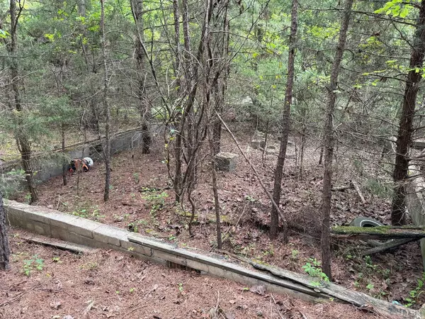 Evington, VA 24550,0 Dearborn RD