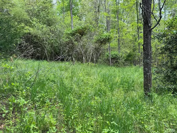 Evington, VA 24550,0 Dearborn RD