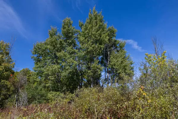 Tay Valley, ON K7H 3C8,19112 HWY 7 HWY