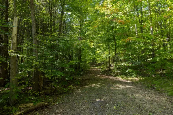 Tay Valley, ON K7H 3C8,19112 HWY 7 HWY