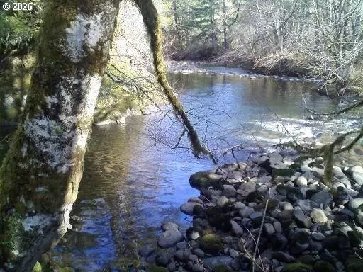 Grand Ronde, OR 97347,7310 ALVORD ALLEY RD