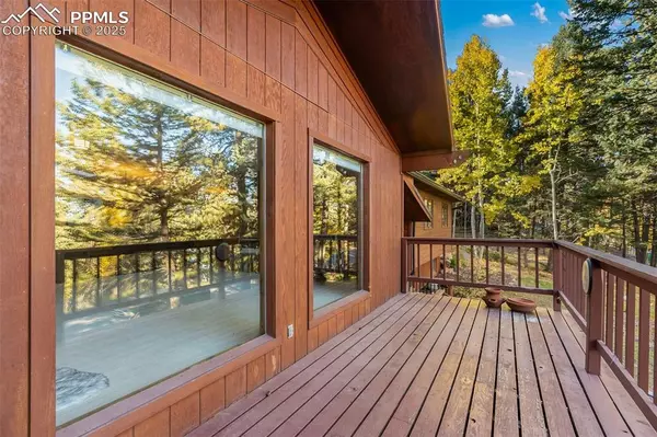 Woodland Park, CO 80863,1003 Kings Crown RD