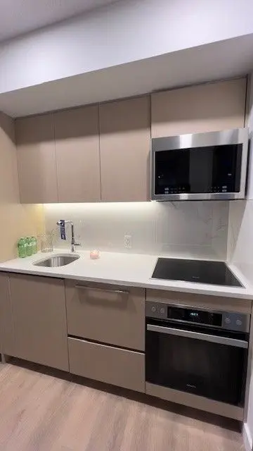 Toronto C01, ON M5V 0P7,38 Widmer ST E #1008