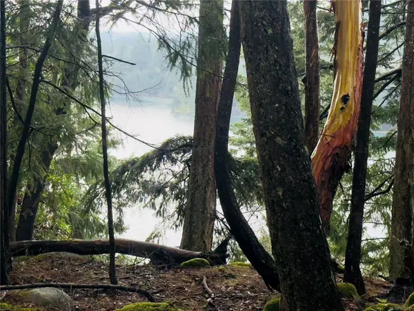 127 Halibut Hill Rd, Mudge Island, BC V0R 1X6