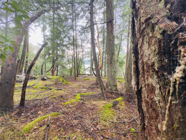 Mudge Island, BC V0R 1X6,127 Halibut Hill Rd