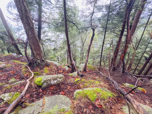 Mudge Island, BC V0R 1X6,127 Halibut Hill Rd