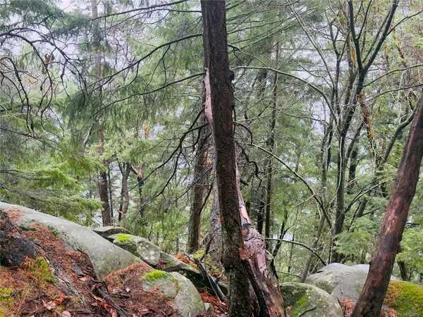 Mudge Island, BC V0R 1X6,127 Halibut Hill Rd