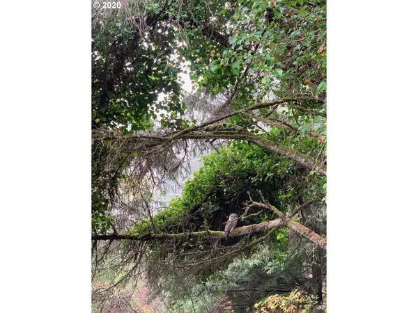 2900 SW Anchor Ave Parcel 2, Lincoln City, OR 97367