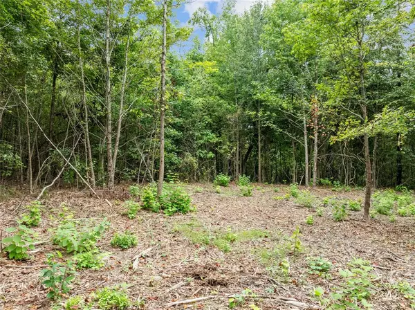 00 Mistletoe Road, Gilmer, TX 75644