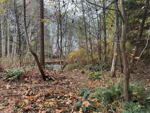 Campbell River, BC V9W 1S8,513 Erickson Rd #B