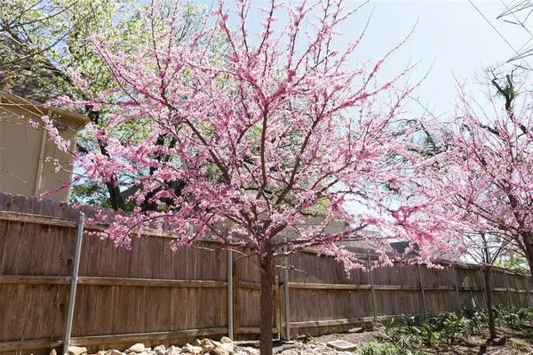 Dallas, TX 75204,4044 Buena Vista #104