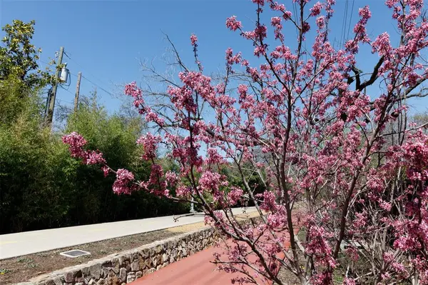 Dallas, TX 75204,4044 Buena Vista #104