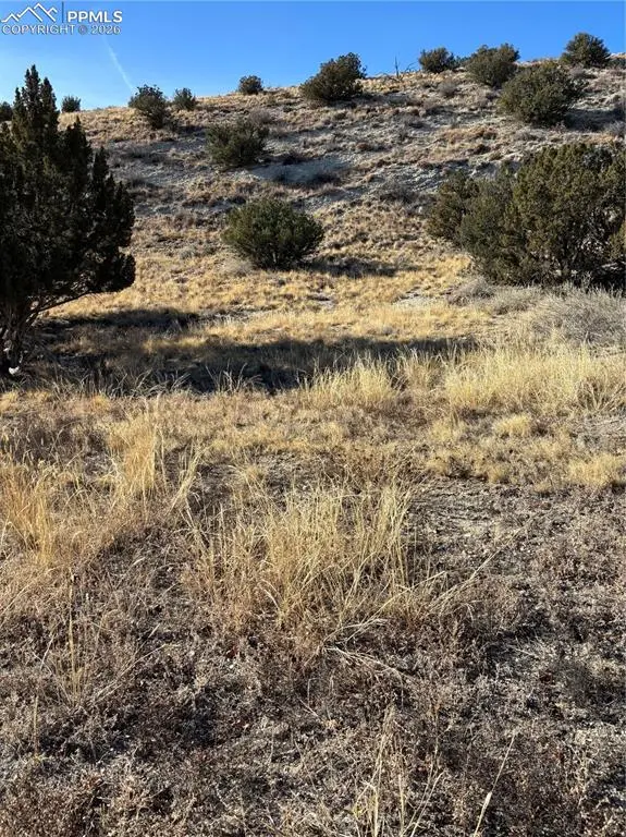 Canon City, CO 81212,400 Autumn CT