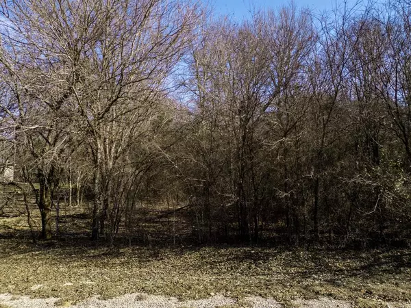 Whitney, TX 76692,12039 Shady Creek Drive